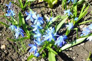 Property thumbnail 36