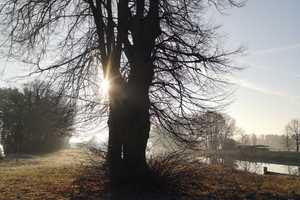 Stilvoll Leben umgeben von Wald, Feld und Wasser-ein einzigartiges Haus am Voßkanal – Oberhavel (Kreis) – Vorschaubild 20