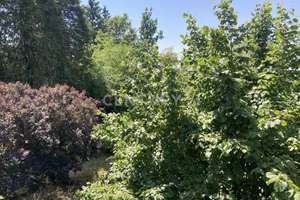 **RESERVIERT** Attraktive ETW mit Balkon in Fürth - Stadeln – Die vollständige Adresse der Immobilie erhältst du vom Anbieter., 90765 Stadeln, Herboldshof, Mannhof, Fürth – Vorschaubild 16
