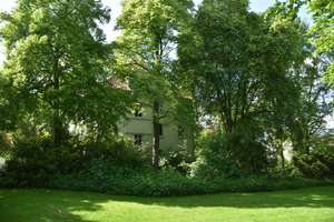 Wohnen. Vermieten. Generationen verbinden : MFH-H mit 4 attraktiven Wohnungen in begehrter Parklage – 33604 Mitte, Bielefeld – Vorschaubild 17