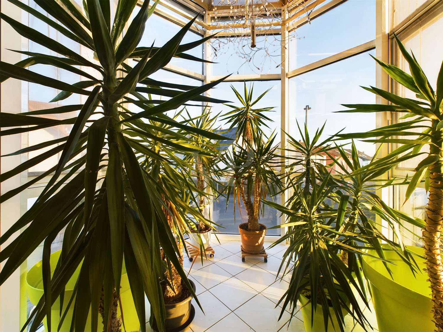 Immobilie in Mainaschaff - Gar nicht mal so klein, aber fein! - Bild 1