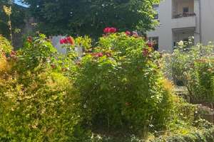 Frisch renoviert - 4 1/2-Raum-ETW mit Balkon - bequem in der Hochparterre - sofort zu beziehen!