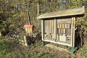 Landsitz mit Waldbestand – Die vollständige Adresse der Immobilie erhältst du vom Anbieter., 33428 Harsewinkel – Vorschaubild 33