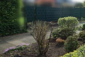 Platz für neue Geschichten - Charmantes Reiheneckhaus mit sonnigem Garten – 51377 Steinbüchel, Leverkusen – Vorschaubild 33