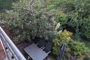 Schöne Doppelhaushälfte in Hanglage mit 6 Zimmern und Garten – Wachtberg-Oberbachem – Pfarrer-Weuster-Weg 22, 53343 Wachtberg – Vorschaubild 8
