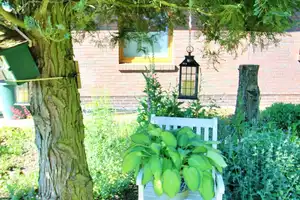 Wohnidyll - Dreifamilienhaus  mit verbundenem Bungalow & traumhaftem Garten - Anlage - Seckenhausen – Diepholz (Kreis) – Vorschaubild 23