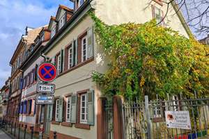 Lichtdurchflutetes Wohnerlebnis auf zwei Ebenen – Viel Platz & Komfort