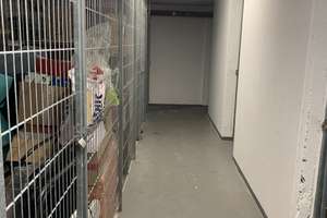 Property thumbnail 13