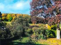 Ausblick Herbst