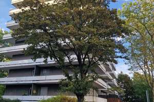 Traumhafter Weitblick: Helle 3 Zimmer Wohnung mit großem Eck-Balkon 