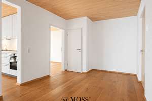 Leerstehende 4-Zimmer Wohnung in Freiburg-Kappel | 114 m² | Aufzug | Terrasse | ökologisch & modern – 79117 Kappel, Freiburg im Breisgau – Vorschaubild 16