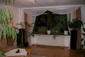 3 Zimmerwohnung im Zweifamilienhaus