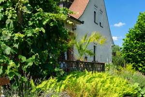 Wohnen mit Urlaubsflair – Modernisiertes Einfamilienhaus mit Gästehaus, Swimmingpool und traumhaftem
