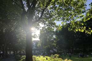 Property thumbnail 34