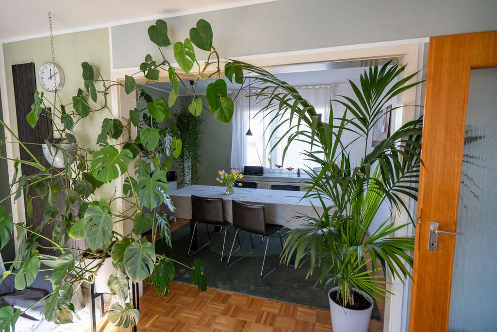 Immobilie in Hochdorf - Großes 2-Familienhaus in Hochdorf - Bild 3