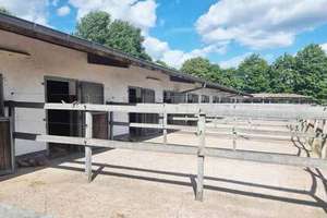 NRW, Nordrhein-Westfalen, Raum Bielefeld - gepflegte Reitanlage zu verkaufen – Die vollständige Adresse der Immobilie erhältst du vom Anbieter., 33739 Jöllenbeck, Bielefeld – Vorschaubild 5