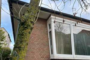 Super-Sonnen-Bungalow mit 2 WE in Strandlage! Einmalig! – Wangerooge, Friesland (Kreis), 26486 Friesland (Kreis) – Vorschaubild 1