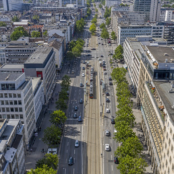 Stadtmitte: Sushi, Bento Box, Matcha, Take Away