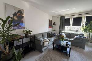 Property thumbnail 8