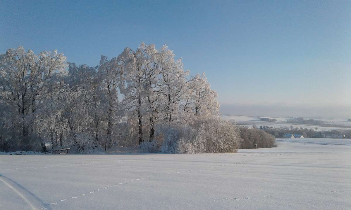 Natur pur