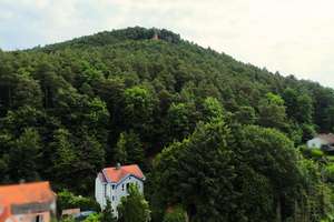 Charmantes und top gepflegtes Einfamilienhaus mit Weitblick und Garten in Birkenhördt – Die vollständige Adresse der Immobilie erhältst du vom Anbieter., 76889 Birkenhördt – Vorschaubild 7