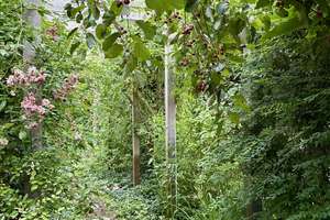 Energetisch saniertes Familienhaus mit separatem Studio, Naturgarten & Waldrandlage – Die vollständige Adresse der Immobilie erhältst du vom Anbieter., 29225 Celle – Vorschaubild 29