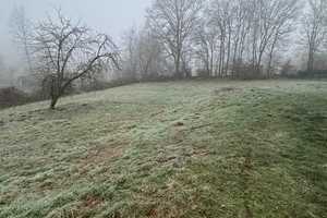 RARITÄT! EFH - großes Grundstück - für Tiere geeignet - außergew. Wintergarten - idyllisch Ruhe! ... – Merzig-Wadern (Kreis) – Vorschaubild 6
