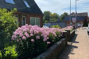 Bungalow (schnellstmöglicher Einzug realisierbar) + Mehrfamilienhaus (vermietet) in Bredstedt . – Nordfriesland (Kreis) – Vorschaubild 6