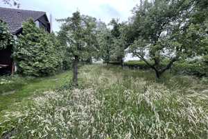 VERKAUFT! Günstige Gelegenheit im Wendland mit schönem Grundstück – Lüchow-Dannenberg (Kreis) – Vorschaubild 5