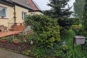 Doppelhaushälfte mit großem Grundstück (1.086 m²) | 5 Zimmer | Staßfurt OT Lust – Lust 26, 39446 Staßfurt – Vorschaubild 7