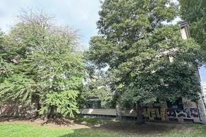 Immobilienangebot: NB-2487