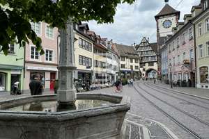 Stilvoll modernisiert: Maisonette- Wohnungstraum am Schlossberg fußläufig zu Freiburgs Altstadt – 79102 Oberau, Freiburg im Breisgau – Vorschaubild 29