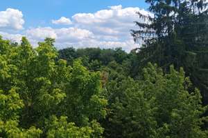 Ruhige, moderne Loftwohnung in Reichelsdorf, 57m², Sichtdachstuhl, Loggia mit Blick ins Grüne  – Beim Wahlbaum 75, 90453 Reichelsdorf, Nürnberg – Vorschaubild 2
