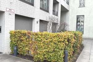 Voll möblierte, vermietete Wohnung im EG, Baujahr - 2018! – 80335 Marsfeld, München – Vorschaubild 12