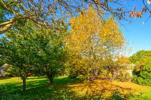 Property thumbnail 28