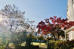 Property thumbnail 8