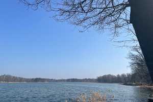 Sommerhaus am See - 60 Minuten von Berlin – Teltow-Fläming (Kreis) – Vorschaubild 11