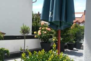 Modernisiertes Wohn- und Geschäftshaus im beliebten Feudenheim! – Hauptstraße 99, 68259 Mannheim – Vorschaubild 36