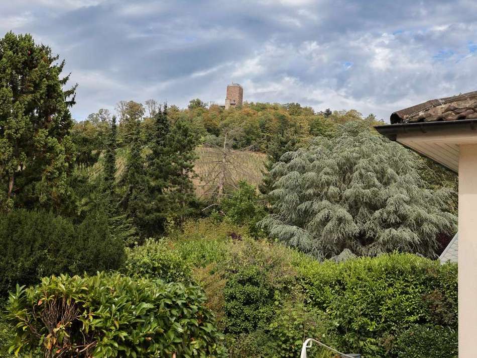 Turmberg Blick