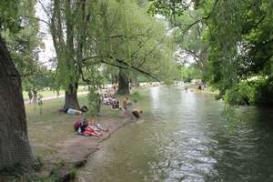 schick möbliert an der Isar mit ruhigem Westbalkon – 80538 Englischer Garten, München – Vorschaubild 7