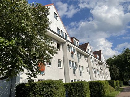 single wohnung elmshorn