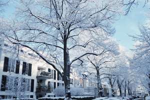 Property thumbnail 14