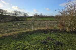 Viel Platz für Familie und Arbeit in idyllischer Feldrandlage – Rendsburg-Eckernförde (Kreis) – Vorschaubild 6