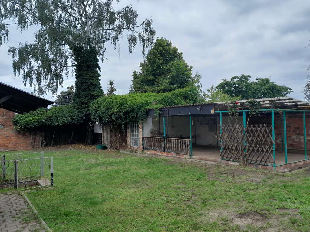 Immobilie in Elbe-Parey - Ruhiges Wohnen am Feldrand in Elbnähe - Einfamilienhaus auf 1523 m² Grund in Elbe-Parey (Derben) - Bild 4