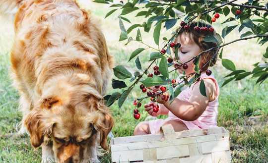 Kinderparadies inklusive: Mein Traumhaus von Bien-Zenker im eigenen Garten!