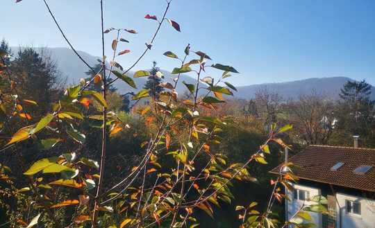 *Baustart Jan 2026 * 75 % Verkauft - DHH in sonniger Aussichtslage -  KFW  QNG förderfähig