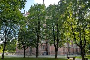 Property thumbnail 17