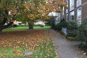 Property thumbnail 26