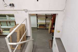 Mehrfamilienhaus in Darmstadt Eberstadt 3 Wohnungen 502qm Grundstück direkt am Naturschutzgebiet – Elizabeth-Duncan-Weg 4, 64297 Eberstadt, Darmstadt – Vorschaubild 50
