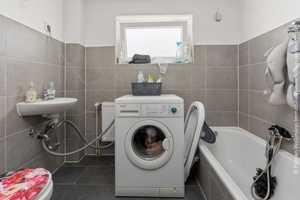 Property thumbnail 18